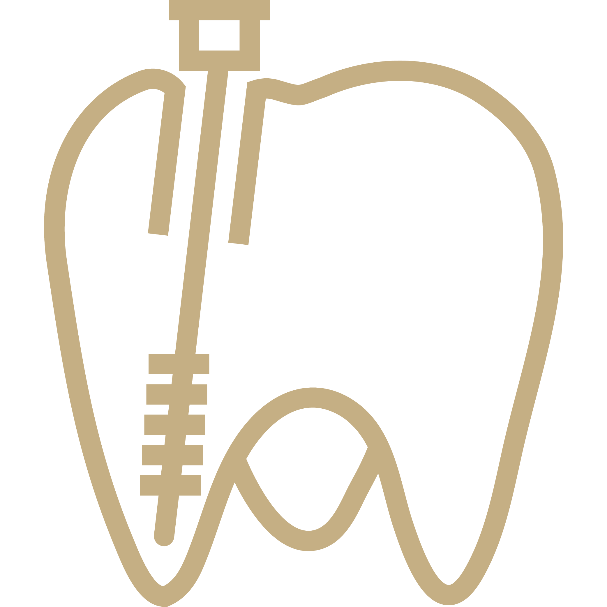 endodontics icon