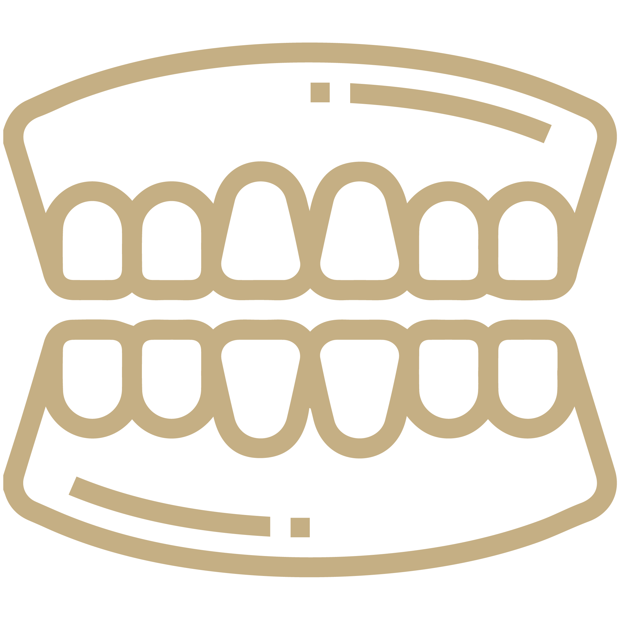dental prosthetic icon